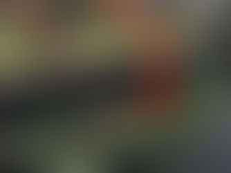 Who is Responsible for Waterway Restoration?