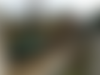 Who to Contact if you Spot a Damaged or Dangerous River in the UK?