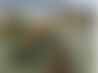 Who is Responsible for UK River Maintenance?