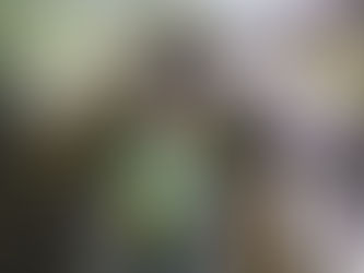 What is Maritime Civil Engineering?