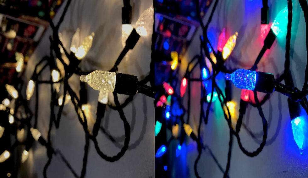 FACETED BULB CHAIN - 50 LED