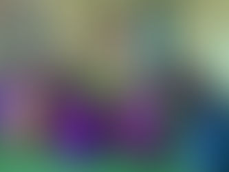 ASHAs Give 'Asha' for the Sahariyas of Ganj Basoda: Collaborating with Public Health Personnel 