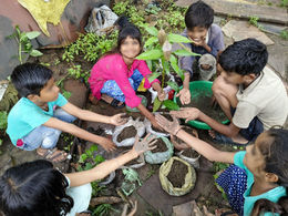 Children Lead Forest Regeneration Efforts in Ganj Basoda