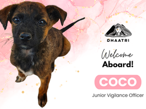 Welcome Aboard, Coco!