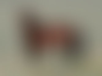 How You Can Help Protect Your Horse from EHV-1