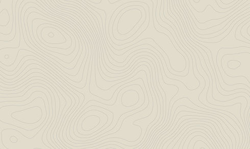 Topography_Pattern_Tan.jpg