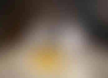 Non-fertile Egg