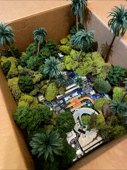 Amazon