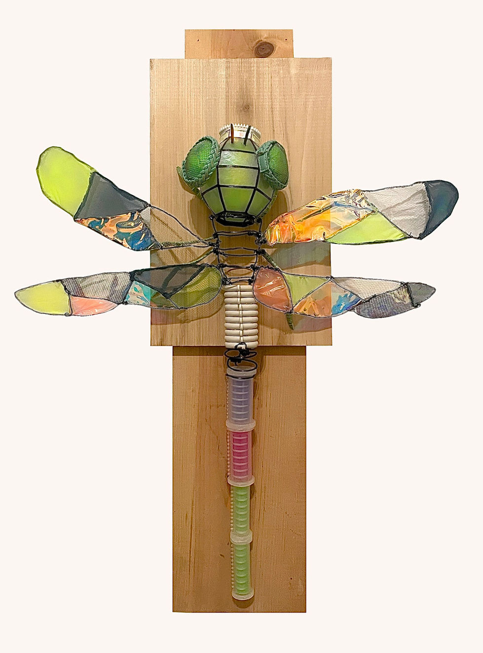 Gigantic Dragonfly 