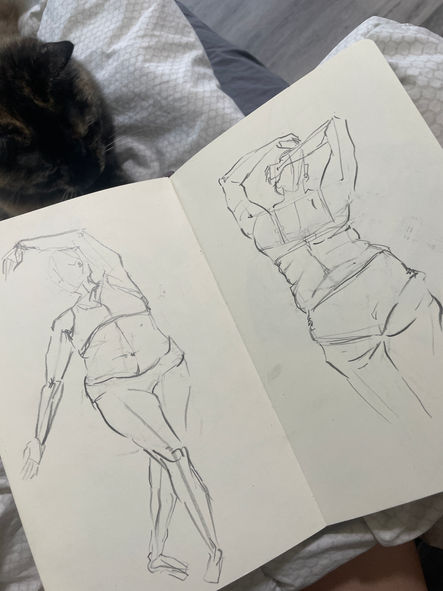 figures 