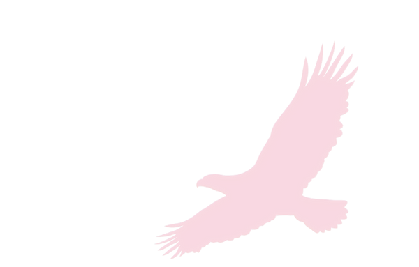Adler Freiheit Kraft Weitblick