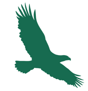 Adler Ruhe Kraft Weitblick