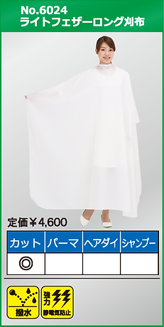 No.6024-26.bmp