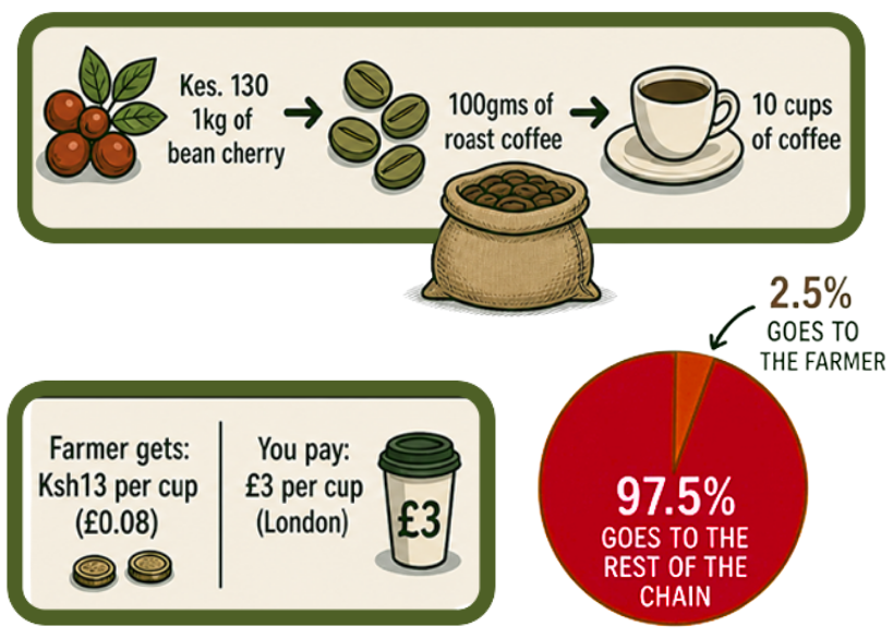 Coffee bean price infographic. Credit Joy Alunga