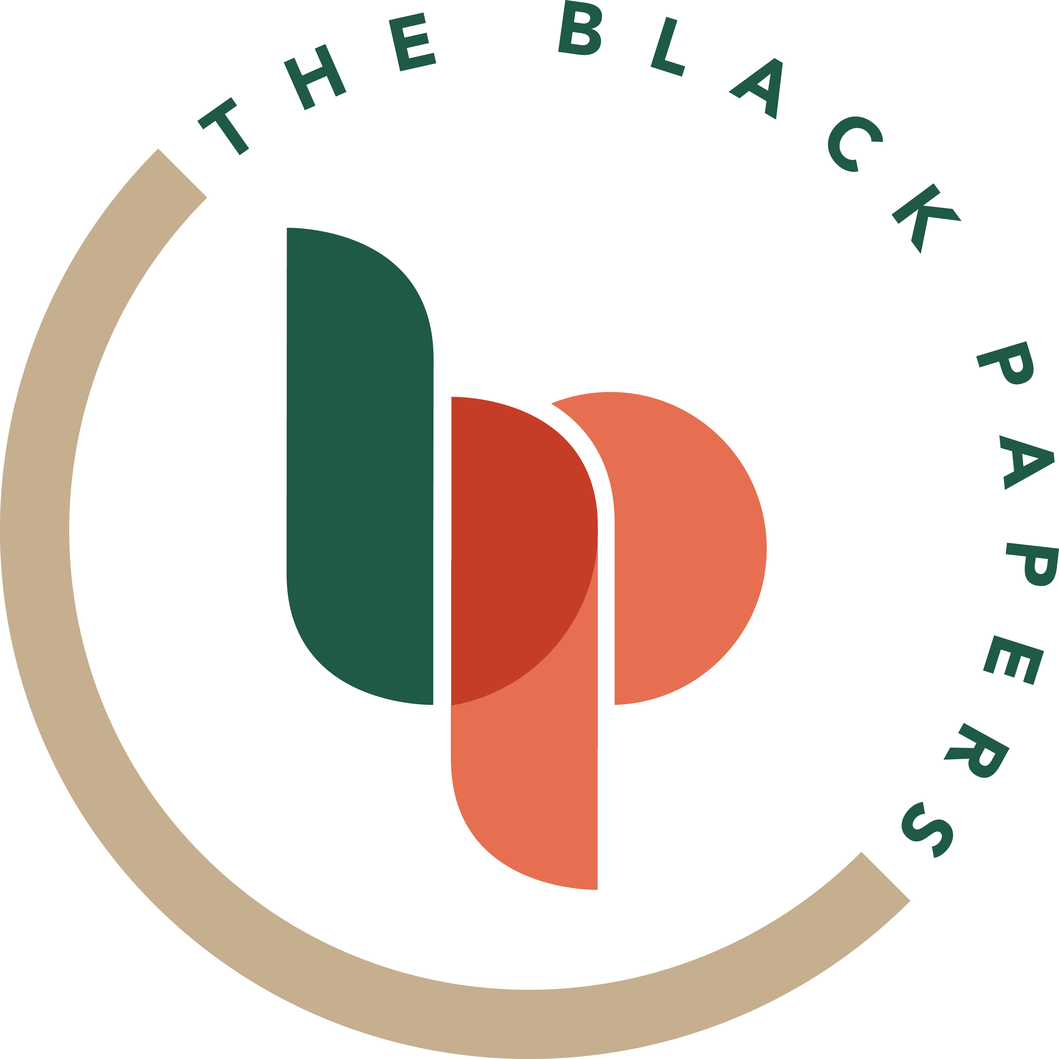 The Black Papers Logo