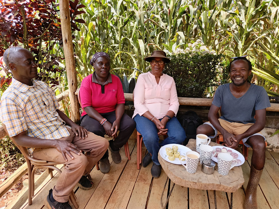 4 people seated on chairs around a table on a wooden deck, with a backdrop of maize and other plants