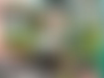 Nouveau départ pour Animavy 🥰