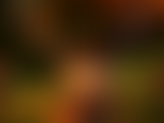 Connexion animaux défunts🐾, Réincarnation ✨🙏et synchronicités ❤