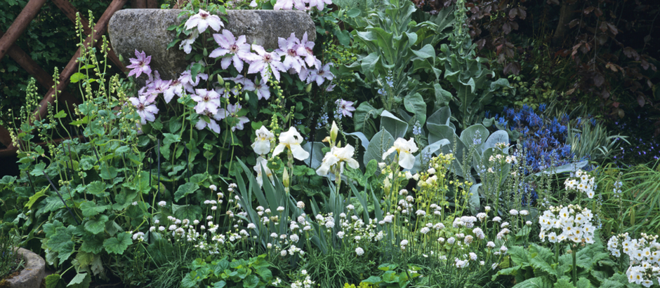 The Evening Magic of a Moon Garden
