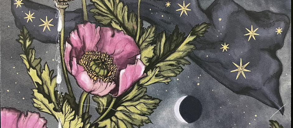 Dreaming With Poppies