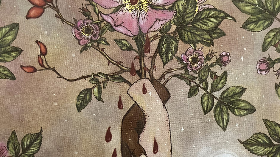 Rose: Sacred Flower of Beauty & Love