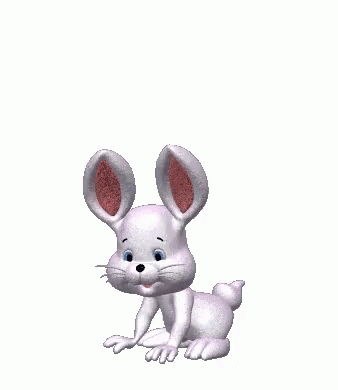 white-bunny-hopping-happily-56tjujxsybkk4fpj.gif