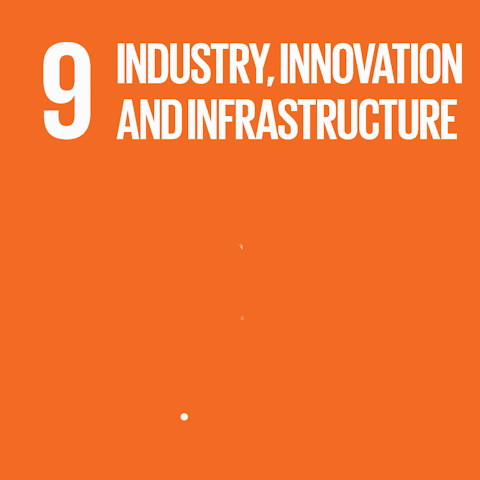 sdg9.gif