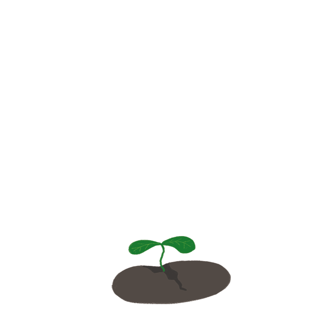 sprout.gif