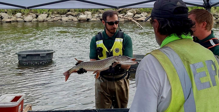 fish1.jpg