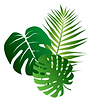 Logo.png