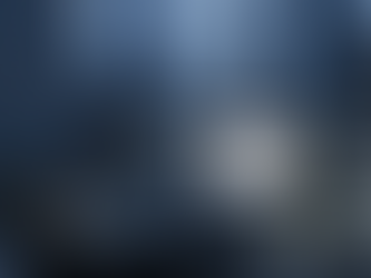 How Executive Protection Services Are Customized for NYC Clients?