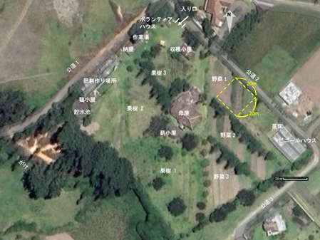 < シントロピック日記1 >シントロピック農法を始めてみた。