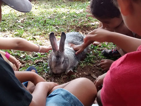 Fundação Lucas Araújo celebra a Páscoa trabalhando o amor e a partilha