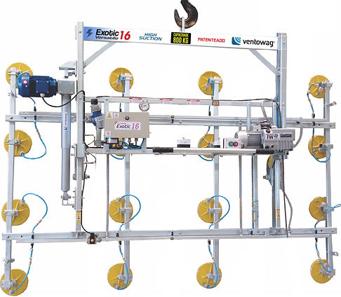 versatile exotic 16.jpg