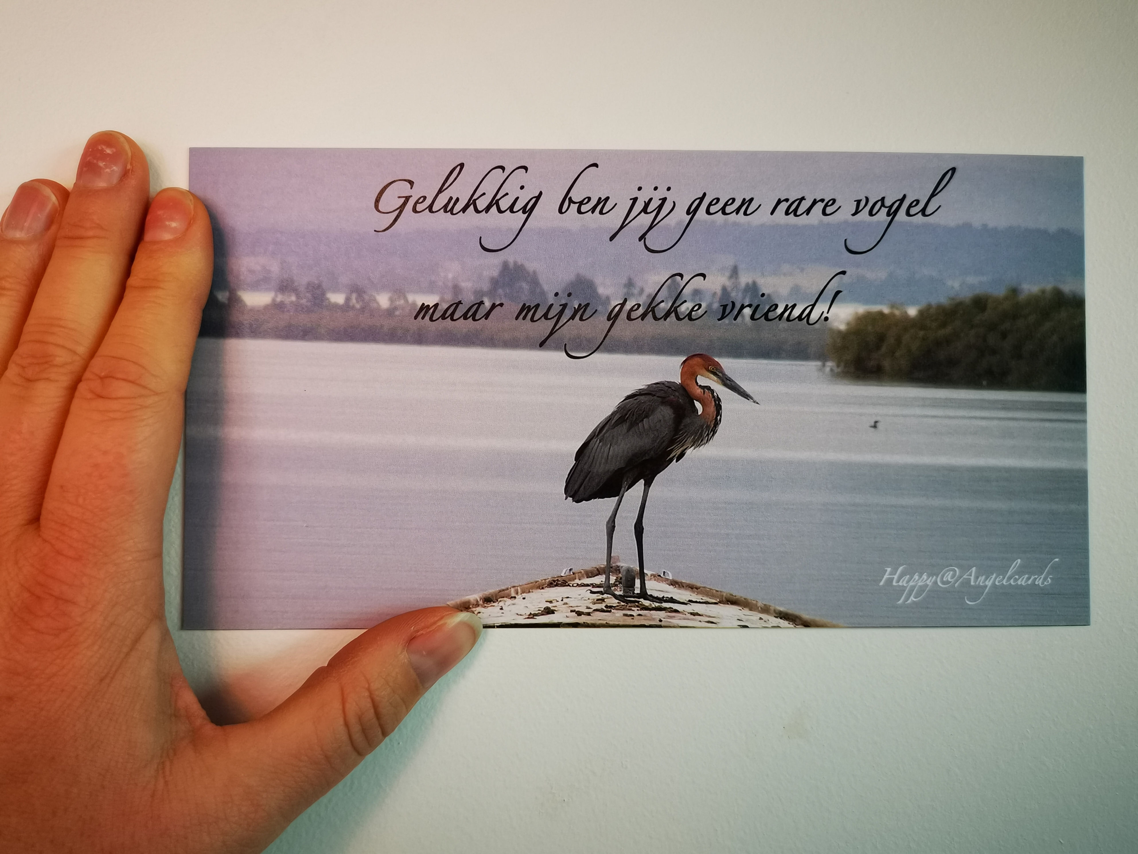 Lucky you are not a weird bird