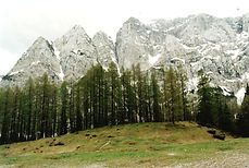 Vrisic montagna.jpg