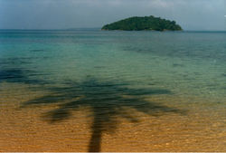 Sihanouk riflessi sul mare con palma