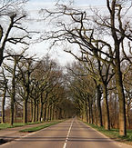 olanda strada panoramica