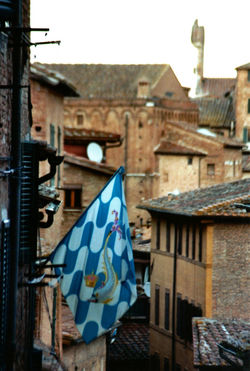 Bandiera della contrada Onda