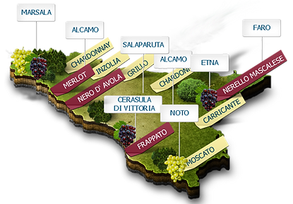 sicilia vini.png