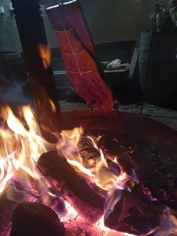 Brennholz, Hackschnitzel, Ersatz zu Öl und Gas, Beratung