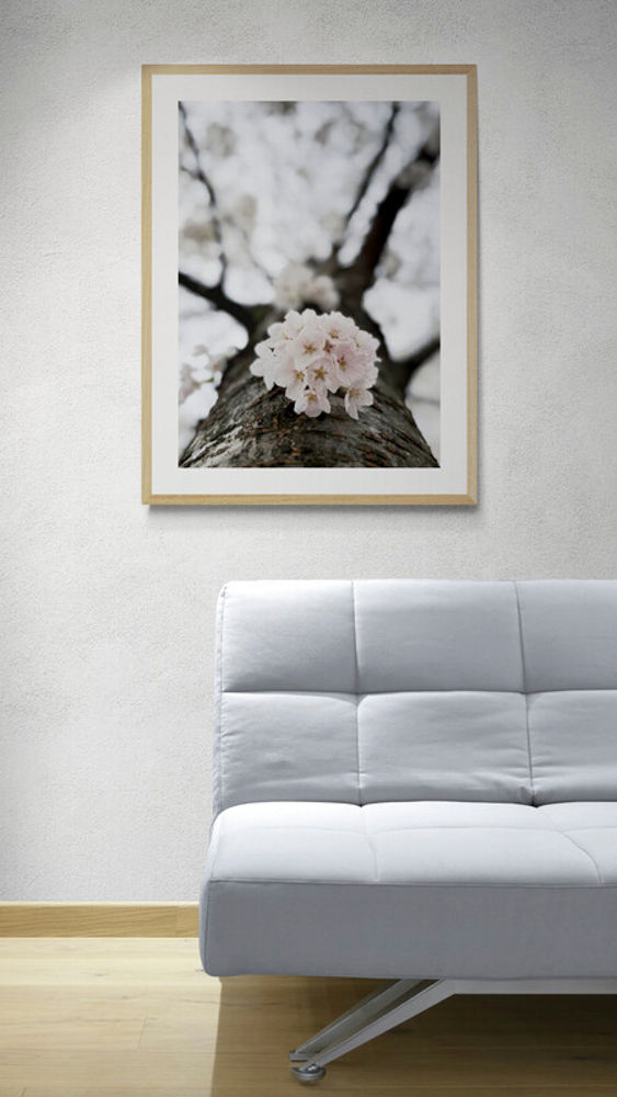 BLOSSOM