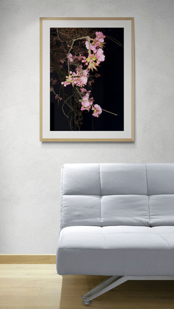 BLOSSOM