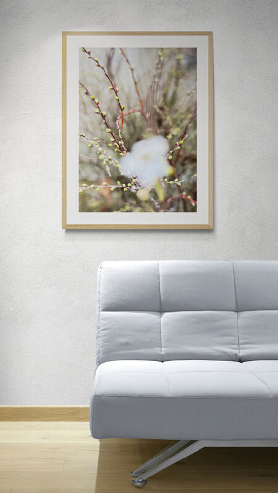 BLOSSOM