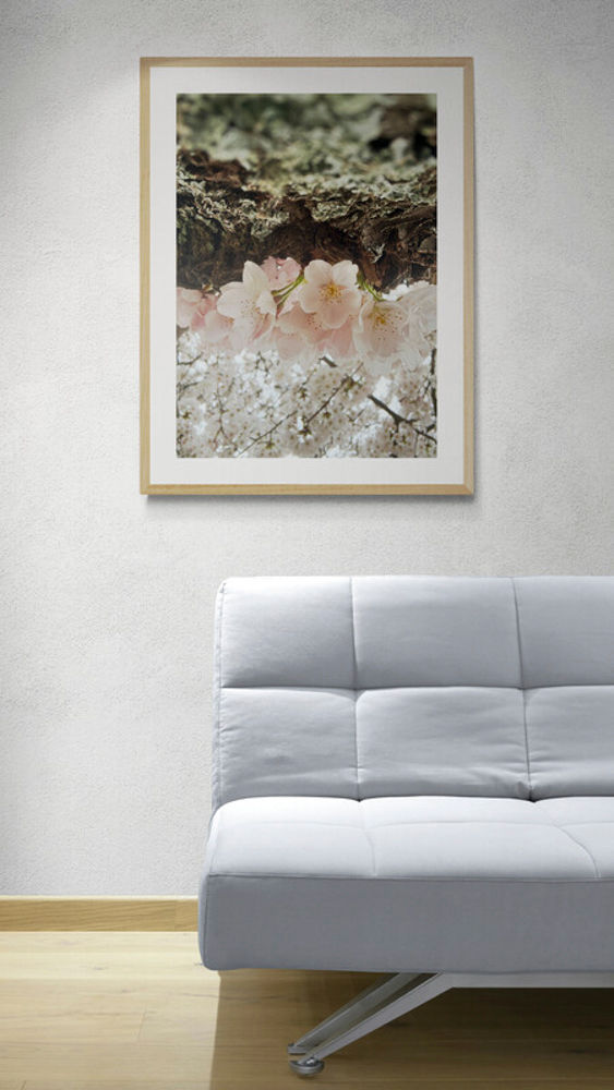 BLOSSOM