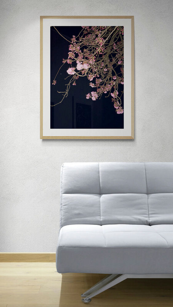 BLOSSOM