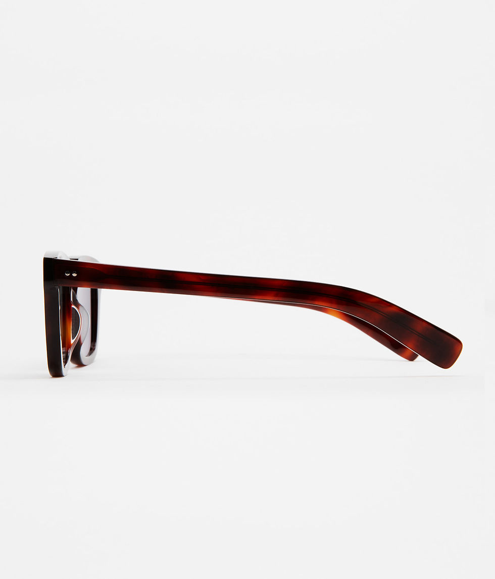 Lunettes de soleil Kaleos pascal brown