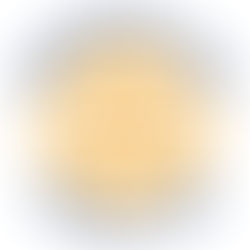 Morrisons Cove Rotary Presentation