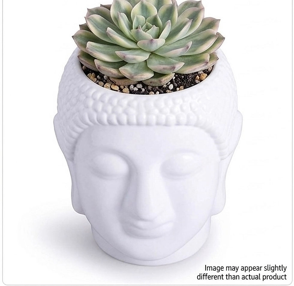 Thumbnail: Zen Serenity | 10-Inch Buddha Head Planter