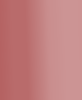 ROSA-TOPO_02.png